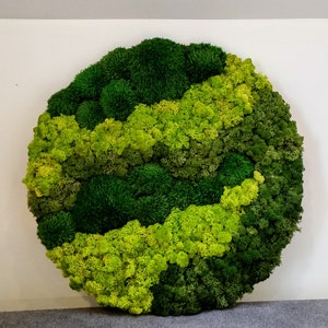 Make Your Own Moss Art, DIY Moss Wall Kit, Round Moss Art Work, Preserved Moss