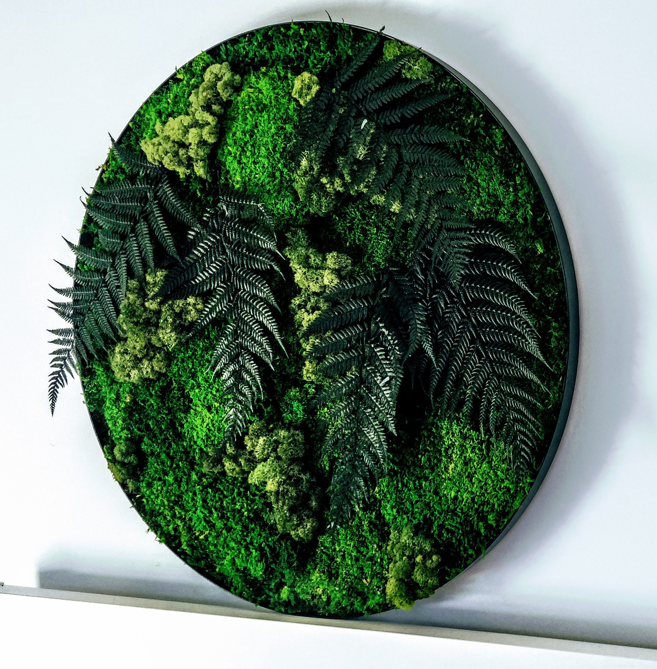 Mousse d'art ronde et fougères 28", 20", 12" (70cm,50cm,30cm). Décorations de forêt. Art mural préservé.