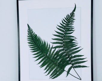 Real Fern Frame Fern Wall Art Forest decorations Botanical Fern Leaf Preserved Nature Fern Wall Hanging Green Wall