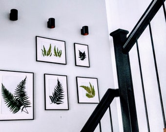 Real Pressed Fern Frame - Set of 5 pieces - Fern Wall Art - Botanical Fern Leaf - Preserved Nature Fern Wall Hanging - Green Wall