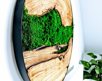 Rundes Kunstmoos, Farne, Olivenholz 28", 20", 12" (70 cm, 50 cm, 30 cm)/ Konservierte Wandkunst/Walddekorationen