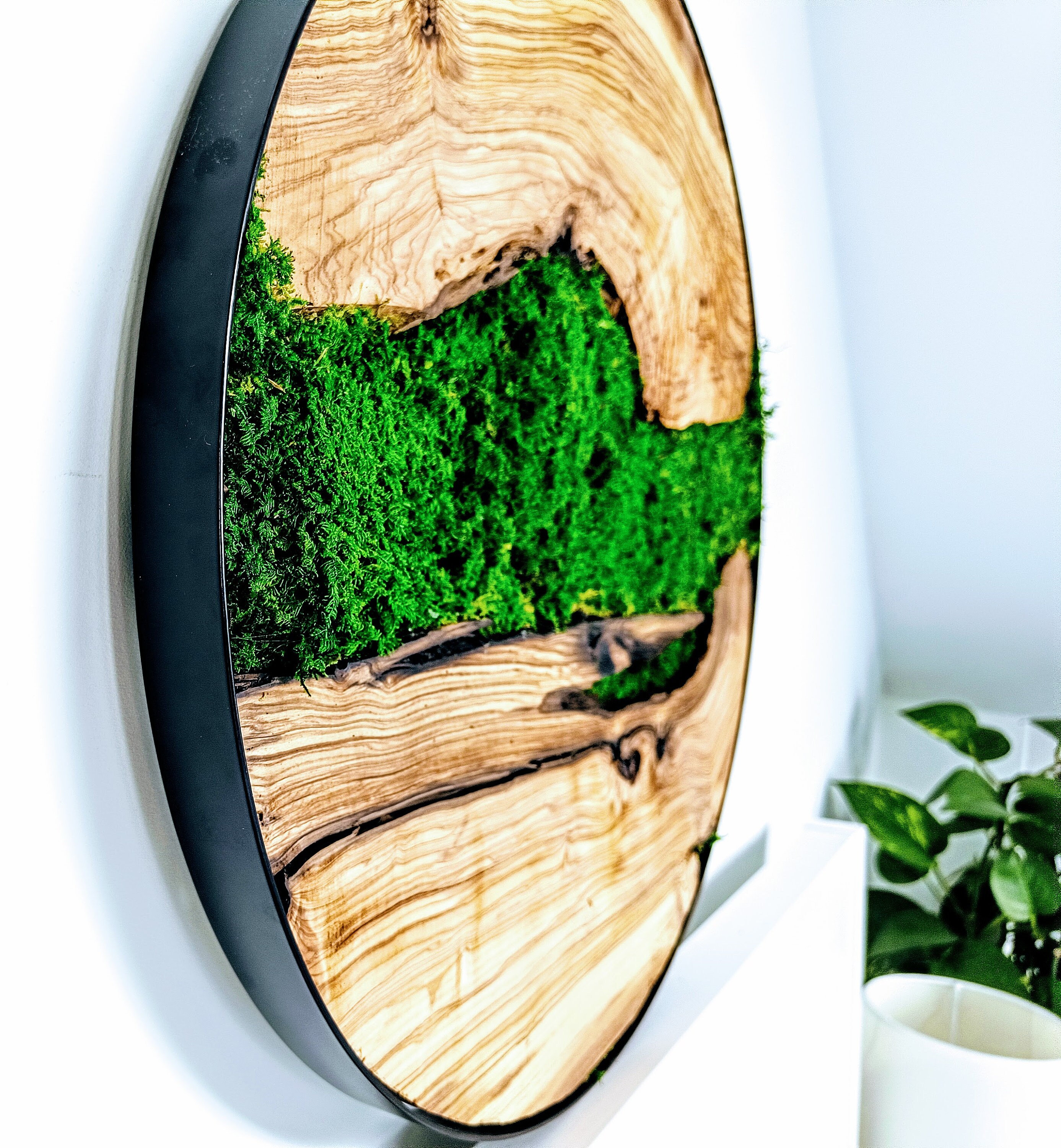 Mousse d'art ronde, fougères, bois d'olivier 28", 20", 12" (70cm,50cm,30cm)/ Art mural préservé/décorations forestières