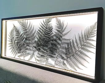 LED Rahmenleuchte Beleuchtung des Bilderrahmens Farne LED Lampe