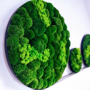 Moony Moss Wall Art Metal Decor