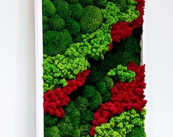 Moosrahmen. Grüne Wandkunst. Konserviertes rotes und grünes Moos. Vertikaler Garten, Mooswand, Mooskunstwerk, Wohnwand