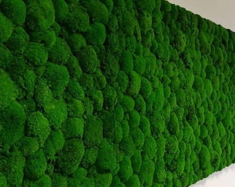 Moos Panel 140cmx 45cm (5 Stück) Vertikaler Garten, Moos Wand, Moos Kunstwerk, Konservierte Moss Kunst, Wohnwand, Grüne Innenwand,