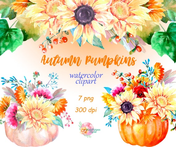 Watercolor Clip Art Pumpkin Vase Watercolor Floral Etsy