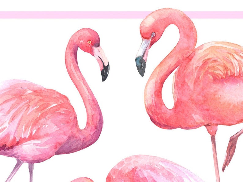 Download Watercolor Flamingo Clip Art Pink Flamingo Invitation Hand Painted Flamingo Png Watercolor Beach Vacation Summer Tropic Pool Clip Art Art Collectibles Kromasol Com