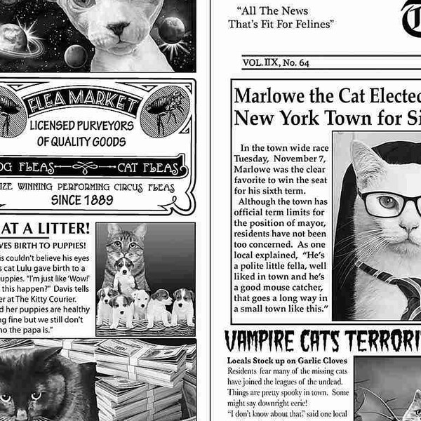 Timeless Treasures - Cat Newspaper - Cat Lady - Purr-Fect Hangout - Katzenzeitschrift - Kinderstoff Baumwollstoff Patchworkstoff