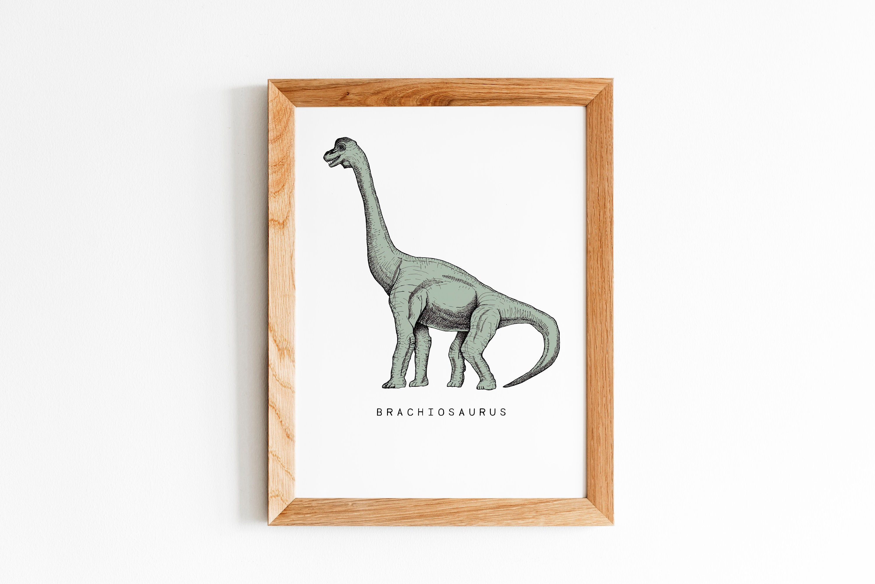 Dinosaur Wall Art Print Set of 4 Prints Dino Nursery Wall Etsy