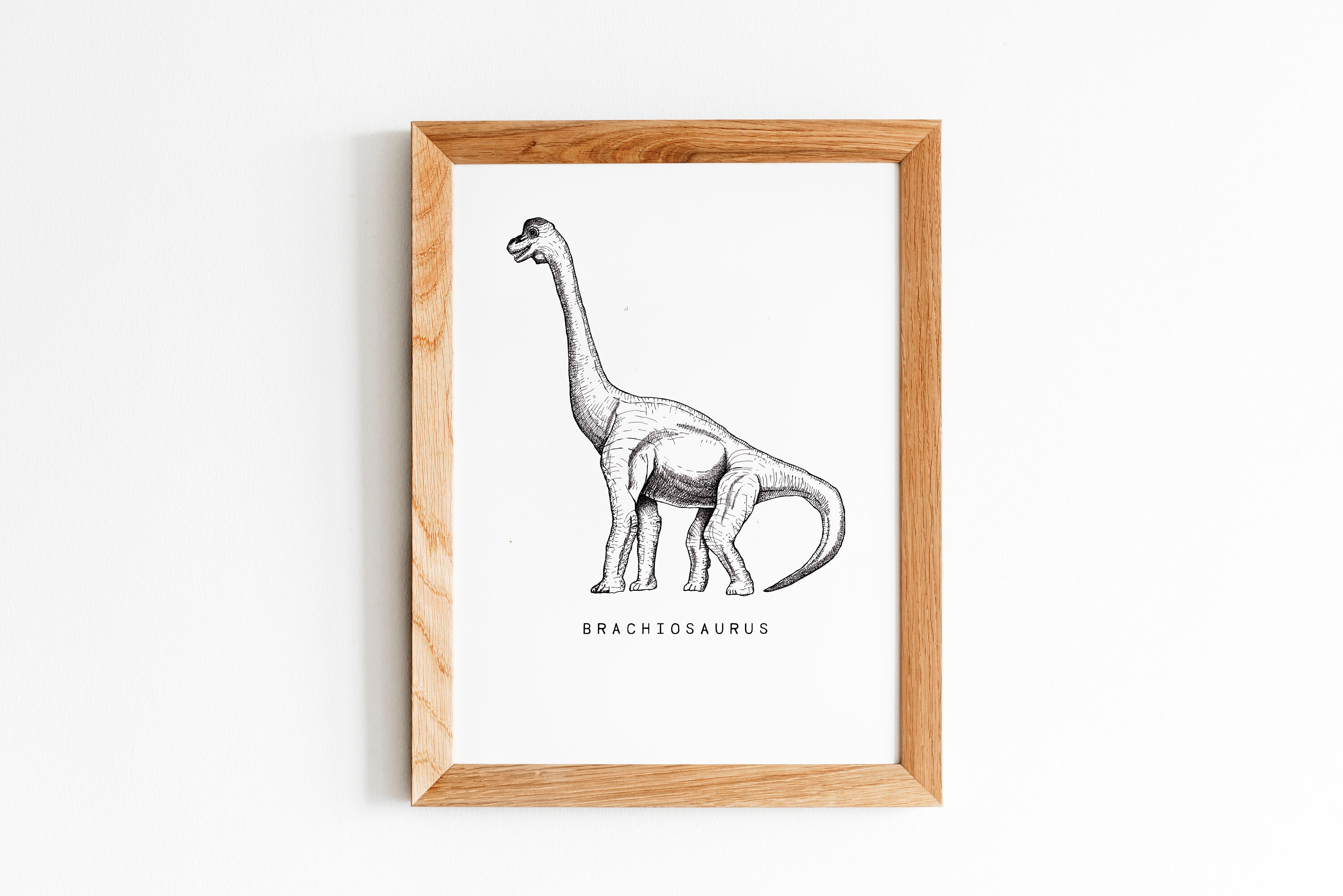 Dinosaur Wall Art Print Set of 3 Prints Dino Nursery Wall Art Etsy