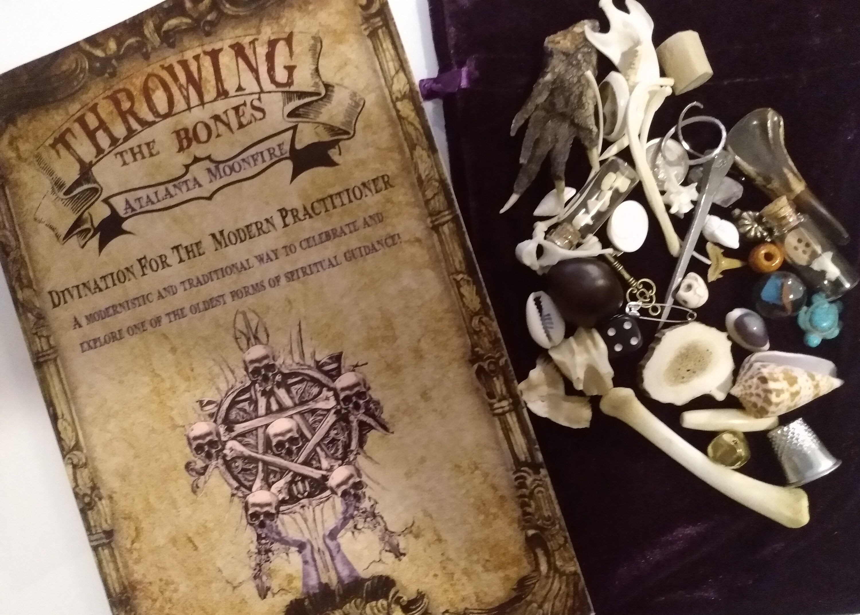 Throwing the Bones book & kit 129 pgs and 40 pc learn to throw Etsy