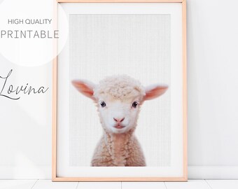 Lamb Nursery Print - Baby Farm Animal Wall Art - Grey Background - Printable Digital Download