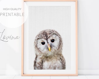 Owl Wall Art Printable - Woodland Animal - Forest Themed Nursery Art - Grey Background - Digital Download