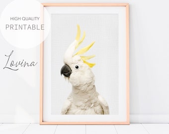 Cockatoo Print, Australian Animal Wall Art, Cockatoo Wall Art, Bird Photos, Australian Animals, Birds Photo Print, Cockatoo Digital Download