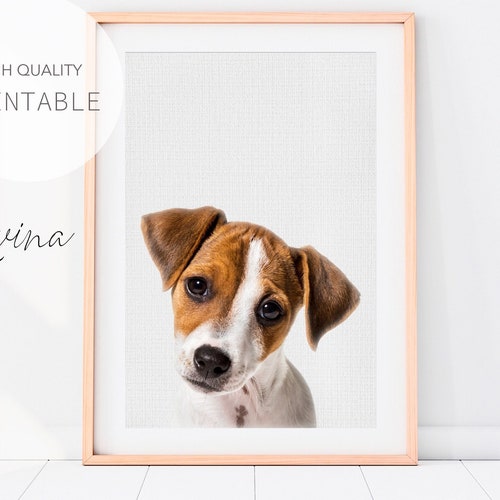 Puppy Dog Prints Nursery Puppy Print Animal Nursery Art Etsy