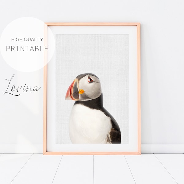 Puffin Print, Baby Animal Nursery Print, Puffin Bird Photography, Puffin Bird Nursery Decor, Nursery Animal Heads, Puffin Digital Download