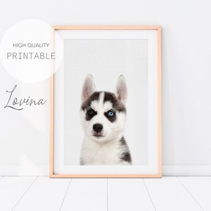 Husky Druck, Husky Welpe Wandkunst, Hund Kinderzimmer Wandkunst, Hund Welpe Kinderzimmer Dekor, Welpe DigitalDruck, Hund Welpe Druck, Hund Digitaler Download