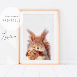 Squirrel Print, Woodland Animals, Forest Decor Print, Squirrel Head, Woodland Nursery Printable, Squirrel Nursery Picture, Digital Download