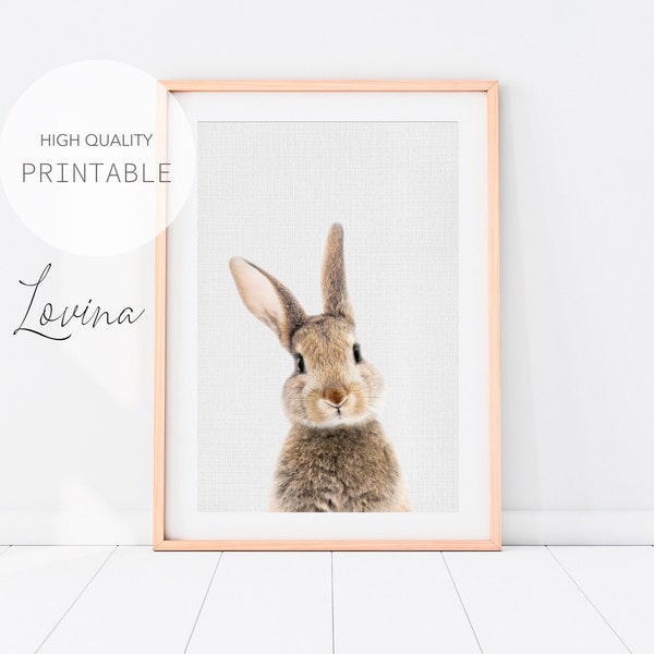 Bunny Rabbit Print, Rabbit Poster, Forest Animal, Bunny Print, Printable Art Print, Bunny Nursery Decor, Baby Animal Photo, Digital Download