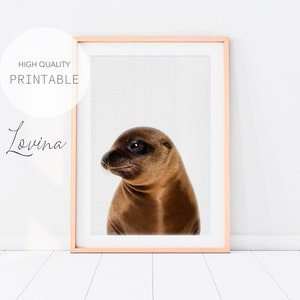 Seal Print, Baby Animal Poster, Sea Animal Nursery Print, Sea Lion Art, Seal Wall Art, Nursery Animal Decor, Sea Animals, Digital Download