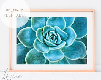 Blue Agave Print, Succulent Cactus Art, Agave Art, Succulents Print, Agave Wall Print, Blue Succulent Wall Art, Blue Cactus Digital Print
