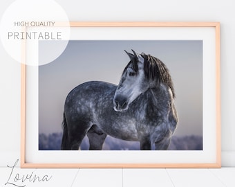 Póster de caballo gris / Impresión de fotografía de animales imprimible / Arte de pared equino / Decoración de fotos de caballos grandes / Impresiones descargables / Descarga digital