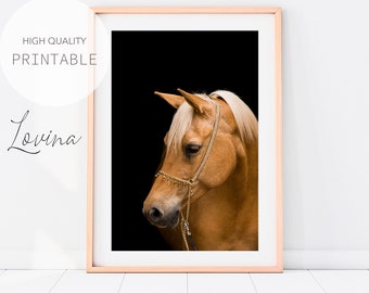 Horse Wall Art, Horse Poster, Large Equestrian Poster, Horse Printable Art, Equestrian Decor, Horse Portrait, Horse Decor, Digital Download