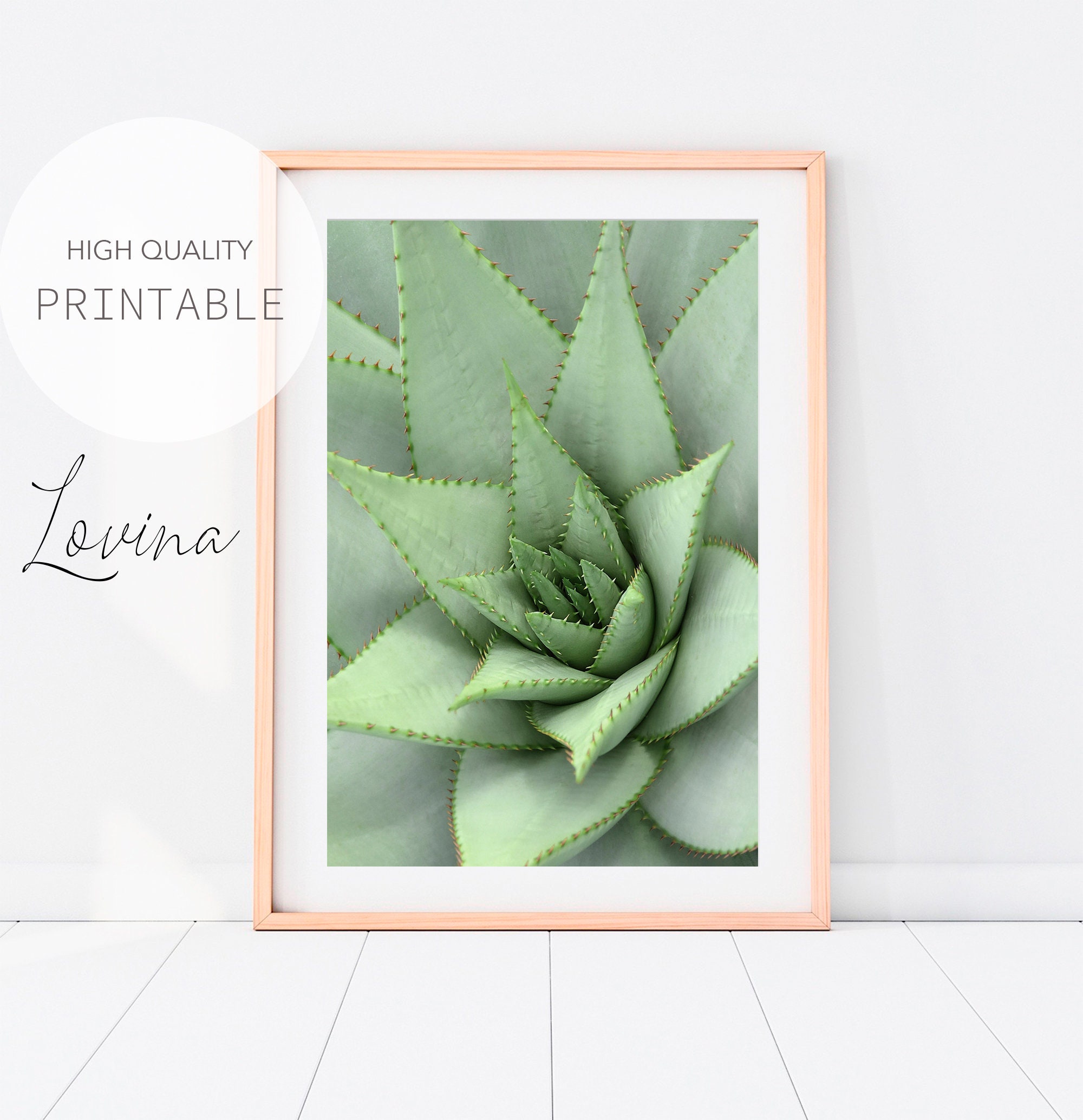 Agave Plant, Cactus Printable Art, Cacti Photography Art, Green Plant Wall Art, Printable Cactus Artwork, Agave Print, Minimalist Plant Art