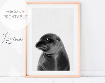 Seal Wall Art, Arctic Animal Poster, DIGITAL DOWNLOAD, Seal Print, Nursery Animal Print, Baby Animal Prints, Animal Art Print, Arctic Animal