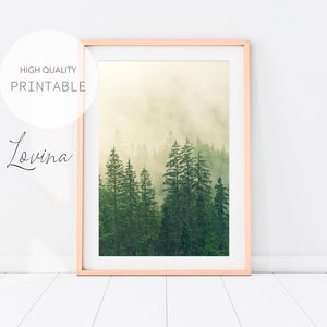 May include: A framed print of a misty forest scene with tall evergreen trees. The image is in shades of green and white, with a soft, ethereal feel.