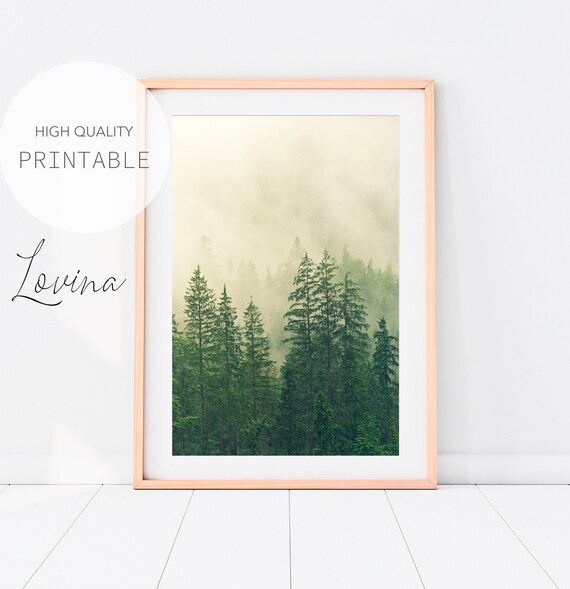 Misty Forest Print, Enchanted Forest Printable Art, Foggy Forest Print, Fog Photo Print, Tree Artwork, Forest Fog Print, Forest Downloadable