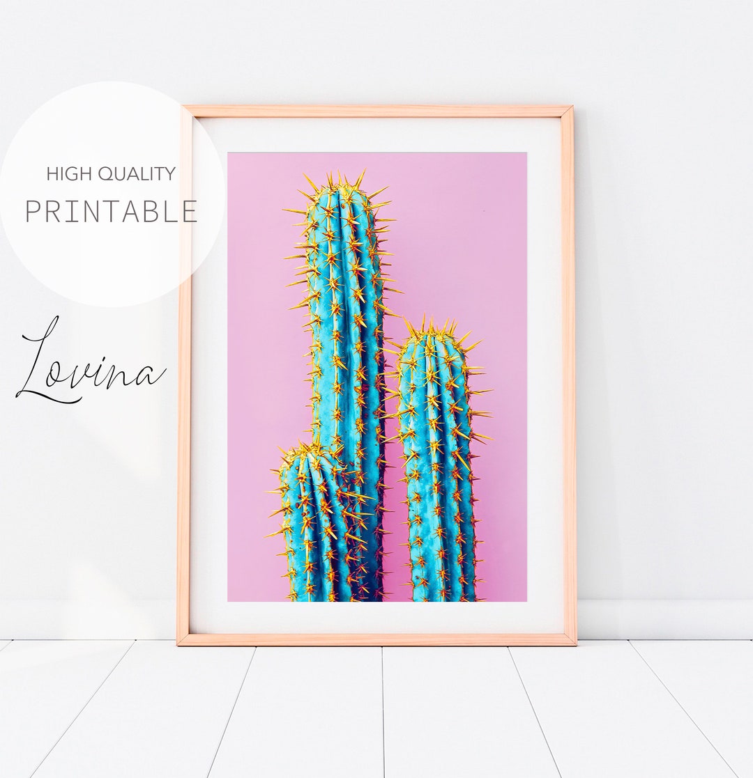 Cactus Photography Print Cacti Wall Art Desert Decor Mexican Large