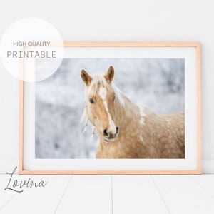 Horse Wall Art Print, Girls Room Horse Decor, Printable Horse Digital Download, Modern Horse Photography Download, Printable Large Poster
