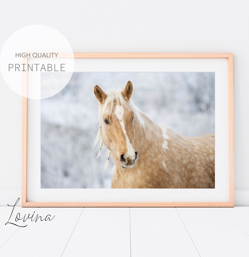 Puede incluir: Un retrato de cerca de un caballo palomino con una estrella blanca en la cara, de pie en un campo nevado. El caballo tiene una melena y una cola largas y fluidas, y sus ojos son de un azul profundo.