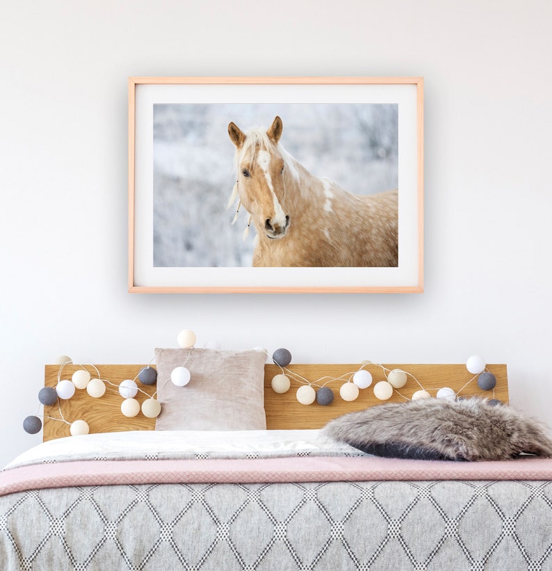 Puede incluir: Una fotograf&iacute;a enmarcada de un caballo palomino de pie en un campo nevado. El caballo est&aacute; mirando a la c&aacute;mara con la cabeza ligeramente inclinada hacia un lado. La foto est&aacute; colgada en una pared blanca sobre una cama con una cabecera de madera y una manta rosa y gris.