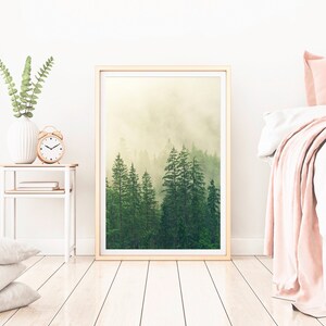 May include: A framed print of a misty forest scene with tall evergreen trees. The print is in a light wood frame and is hanging on a white wall.