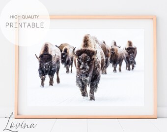 Bison Buffalo Photography | Snowy Winter Forest Wall Art | Printable Animal Poster | Wilderness Decor | Animals WallArt | Digital Download