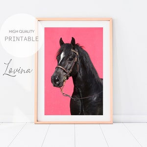 Horse Photo Poster, Horse Photography, Girls Horse Art, Horse Portrait, Horse Wall Art Print, Horse Head Digital Download