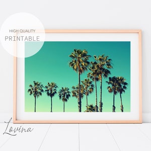 Palm Trees Tropical Wall Art, Palm Tree Photo Print, Printable Tropical Palms Poster, Beach Palm Photography, Palm Prints, Digital Download