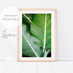 Green Leaf Wall Art, Plant Poster, Tropical Leaf Print, Green Plant Wall Art, Greenery Art Print, Tropical Plant Photo, Plant Digital Poster
