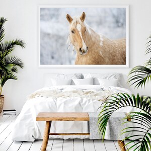 Puede incluir: Un caballo blanco y marr&oacute;n con una estrella blanca en la cara est&aacute; de pie en un campo nevado. El caballo est&aacute; mirando hacia la izquierda del marco. El fondo est&aacute; borroso y fuera de foco.