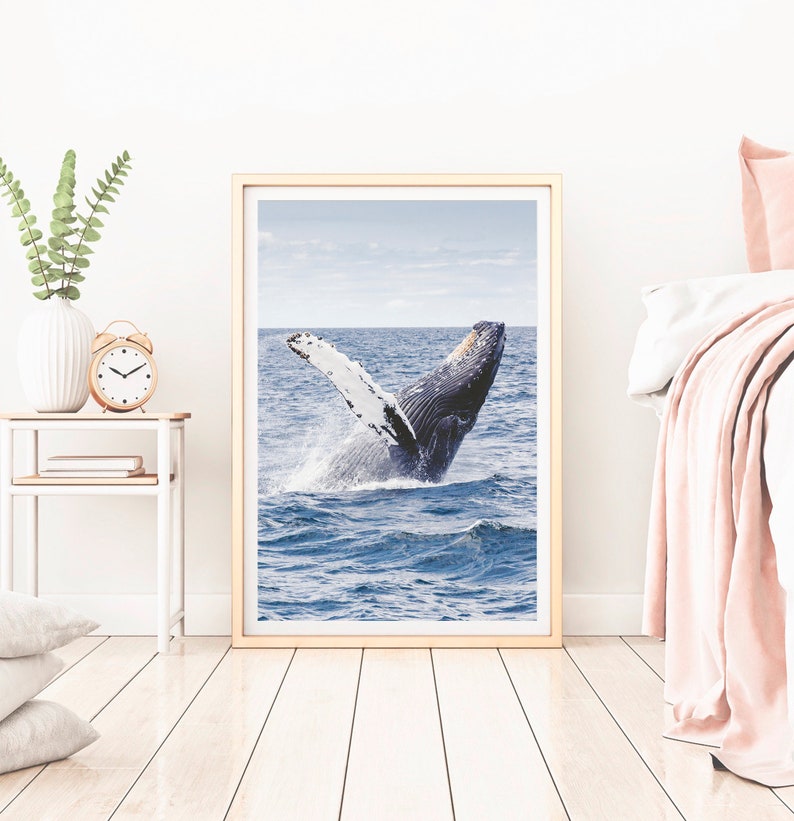 Whale Art Print Humpback Whale Wall Art Coastal Photo Art | Etsy