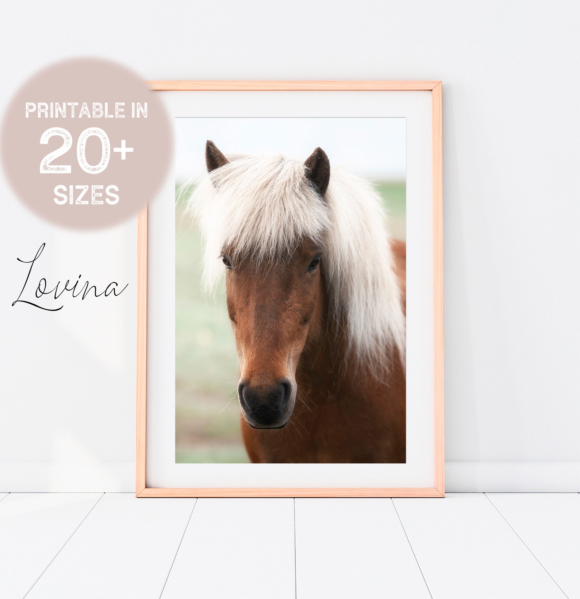 Horse Photo Print Printable Horse Print Poster Horse | Etsy