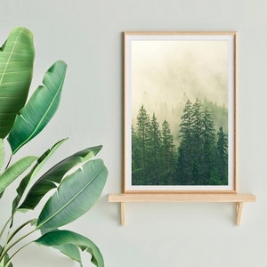 May include: A framed print of a misty forest scene with tall evergreen trees. The print is displayed on a wooden shelf against a light green wall.