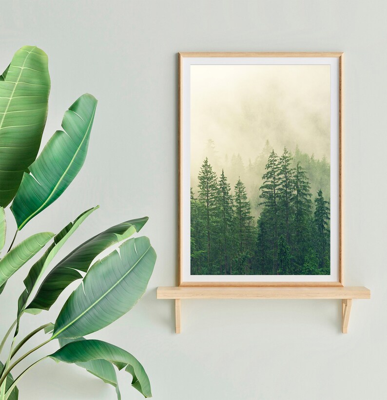 May include: A framed print of a misty forest scene with tall evergreen trees. The print is displayed on a wooden shelf against a light green wall.