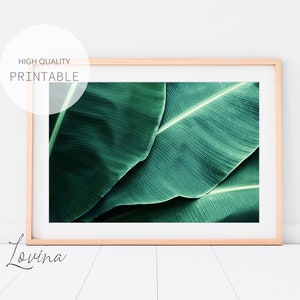Green Leaf Wall Art, Botany Print, Plant Art Printable, Poster Leaf Print, Tropical Leaf Print Art, Greenery Wall Art, Green Plant Photo Art
