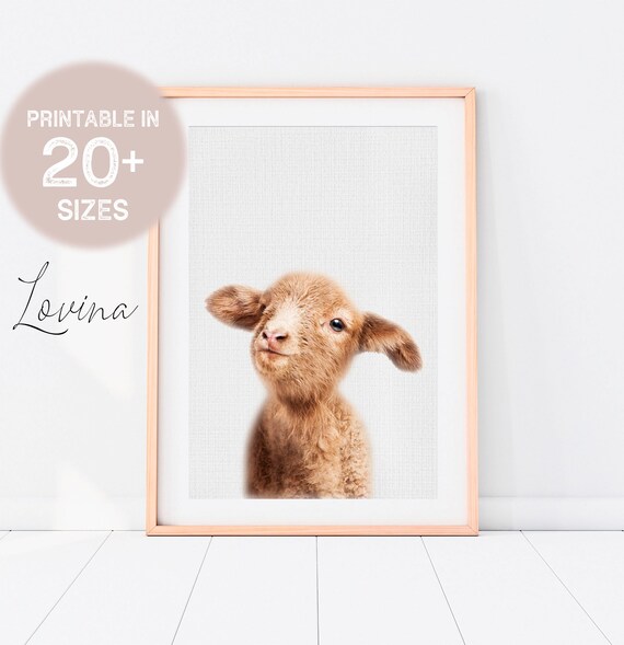 farm animal nursery decor