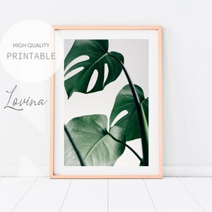 Monstera Leaf Poster, Printable Monstera Plant Print, Plant Art Printable, Leaves Poster Print, Plant Leaves Photo, Leaves Digital Download