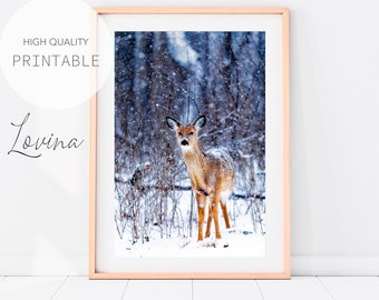 Baby Deer Print, Woodland Animals Photo, Kids Room Animal Poster, Forest Animal Photography, Winter Photography, Digital Download